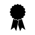 Experience icon